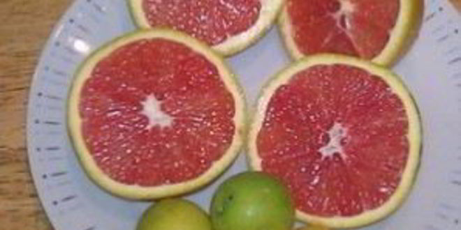 Рецепт варенья из кумквата