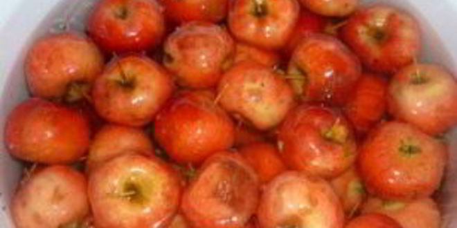 Рецепт варенья из ранеток целых