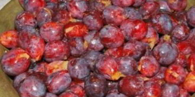 Рецепт варенья из слив без варки