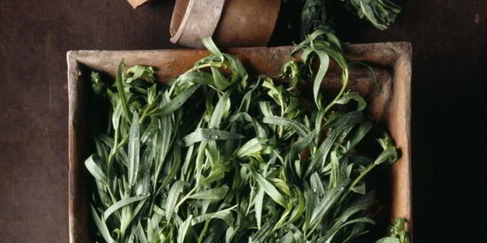 Как приготовить варенье из тархуна