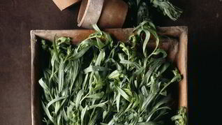 Рецепт Варенья из тархуна