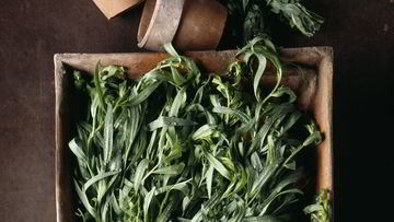 Рецепт Варенья из тархуна