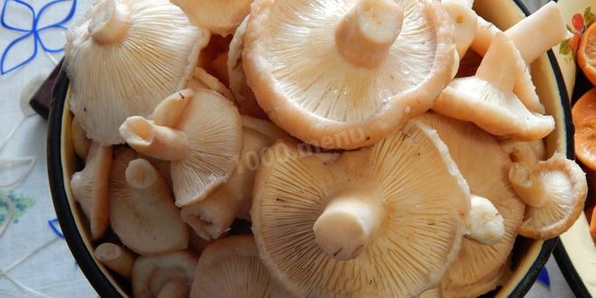 Рецепт волнушек соленых на зиму