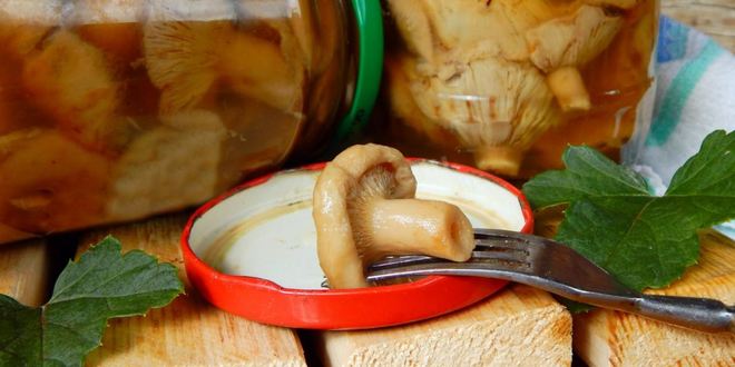 Рецепт волнушек соленых на зиму