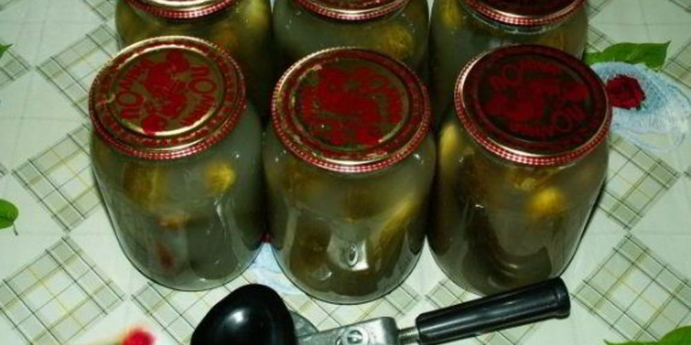 Как приготовить закатку соленых огурцов на зиму