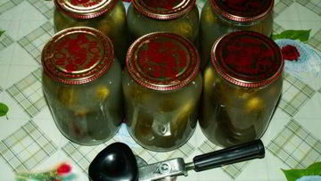 Рецепт Закатки соленых огурцов на зиму