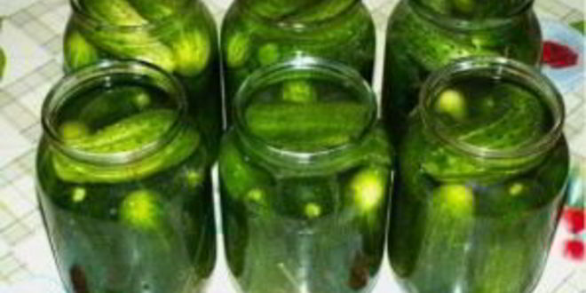 Рецепт закатки соленых огурцов на зиму