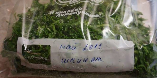 Рецепт заморозки шпината на зиму