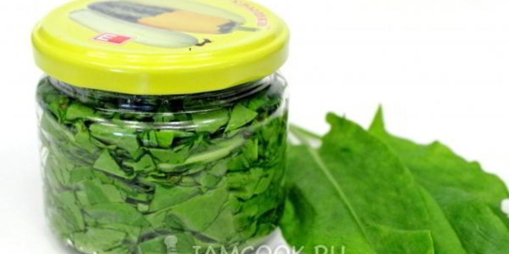 Как приготовить засолку щавеля на зиму