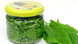 Рецепт Засолки щавеля на зиму