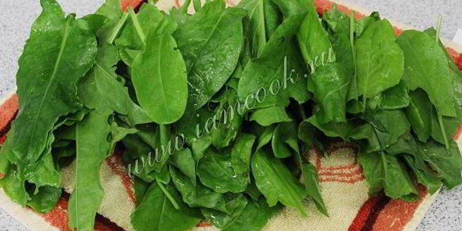 Рецепт засолки щавеля на зиму