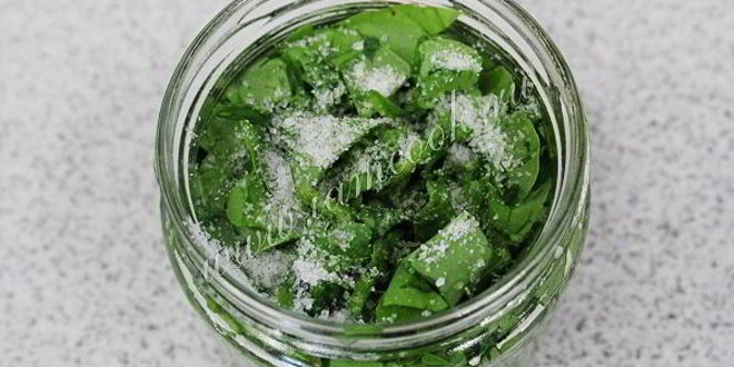 Рецепт засолки щавеля на зиму