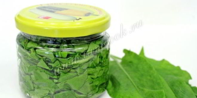 Рецепт засолки щавеля на зиму