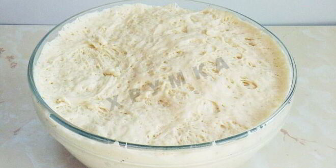 Рецепт дрожжевого теста для беляшей с сухими дрожжами