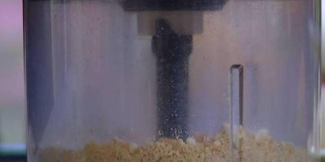 Рецепт овощных бургеров с чечевицей, грибами и курагой