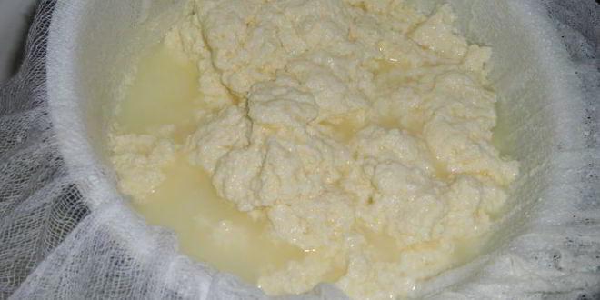 Рецепт бутербродов с домашним мягким сыром на хлебцах