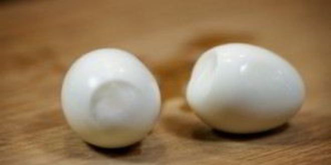 Рецепт начинки для бутербродов