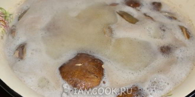 Рецепт икры из моховиков