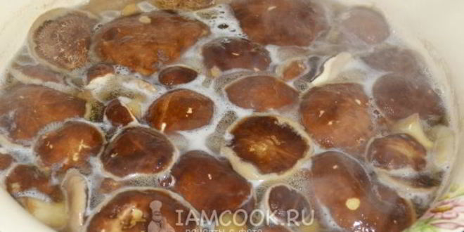 Рецепт икры из моховиков