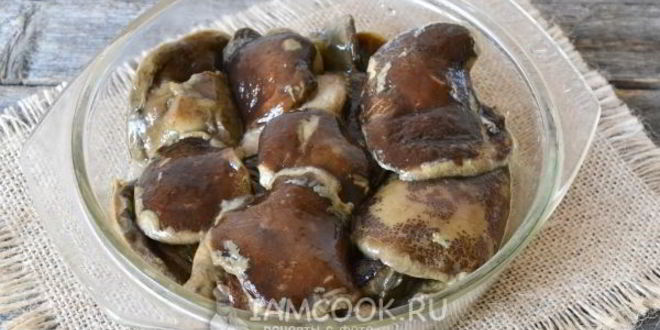 Рецепт икры из моховиков