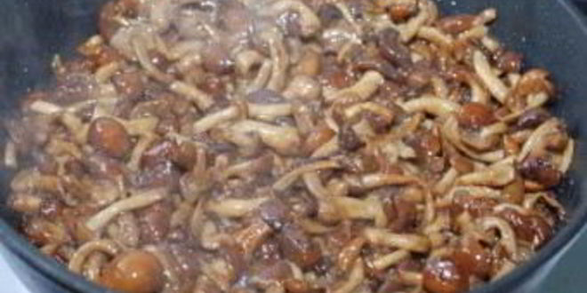 Рецепт икры из опят с помидорами