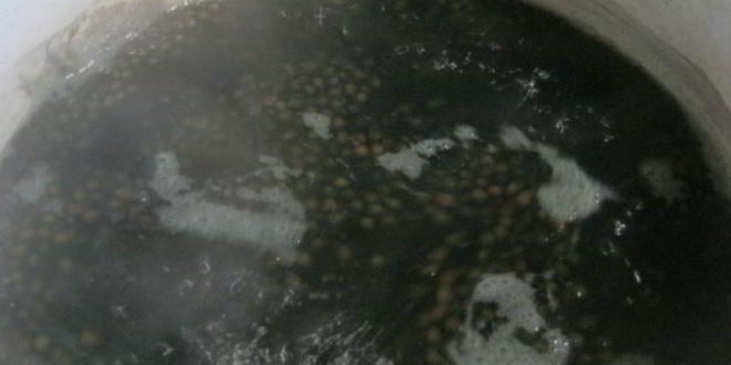 Рецепт канапе с черной чечевицей фуршетные