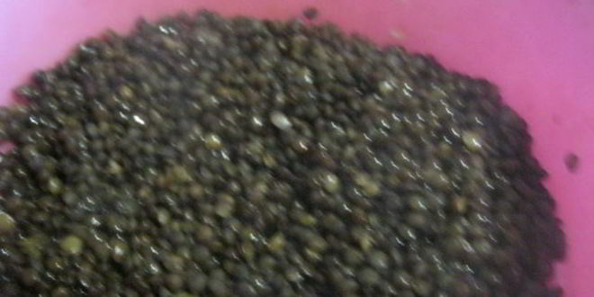 Рецепт канапе с черной чечевицей фуршетные