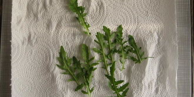 Рецепт канапе с подкопченной неркой и творожным сыром