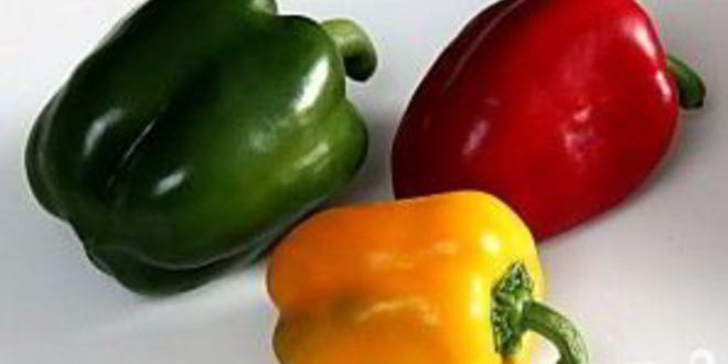 Рецепт канапе с сырной массой и сладким перцем