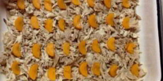 Рецепт диетического холодца