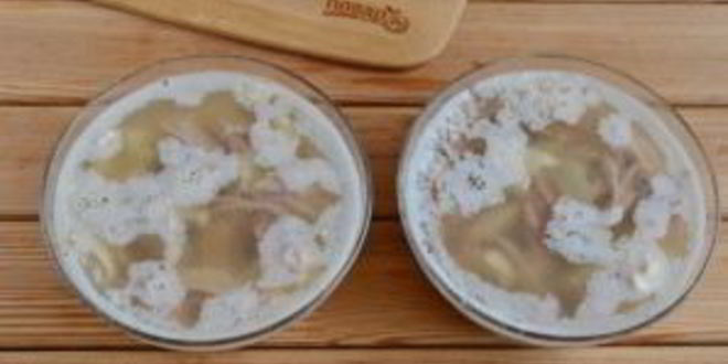 Рецепт холодца из свинины и говядины