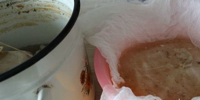 Рецепт холодца из свинины и индейки