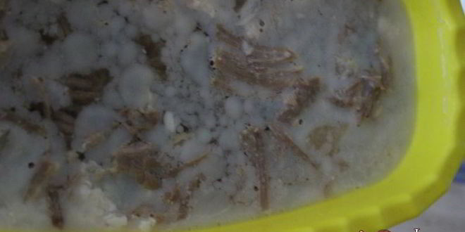 Рецепт холодца из свинины и индейки