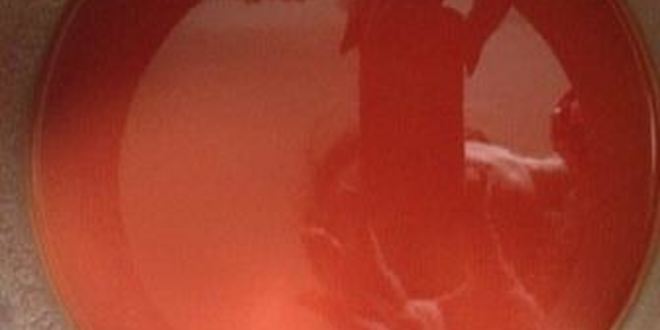 Рецепт томатного холодца с белой рыбой