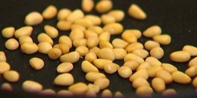 Рецепт омлета де люкс со спаржей и кедровыми орехами