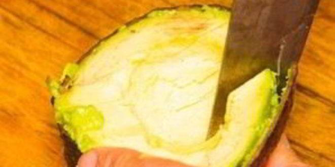 Рецепт омлета с авокадо