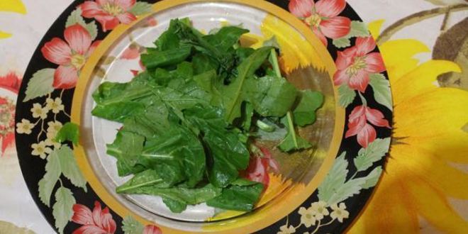 Рецепт омлета с креветками и грибами на подушке из рукколы