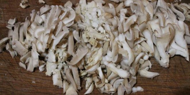 Рецепт омлета с креветками и грибами на подушке из рукколы