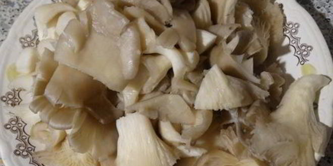 Рецепт паштета из чечевицы с грибами