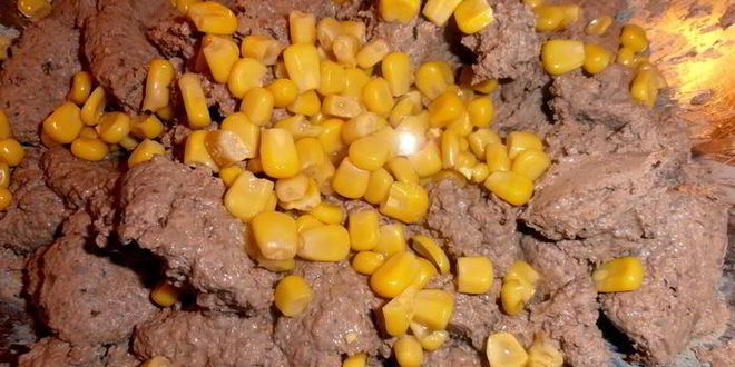 Рецепт паштета из печени