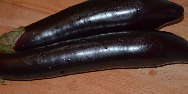 Рецепт паштета из яиц и баклажанов