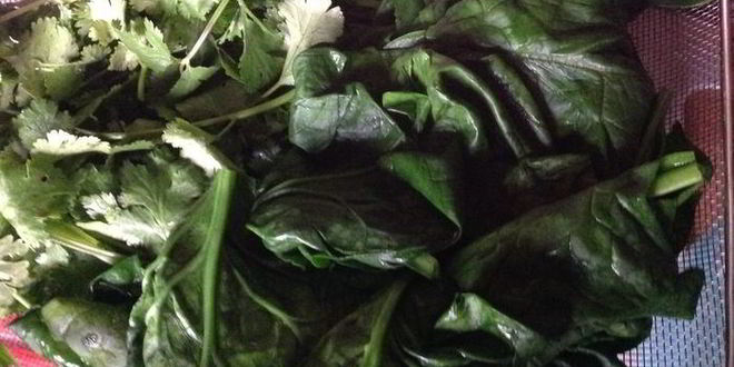 Рецепт пхалей из шпината