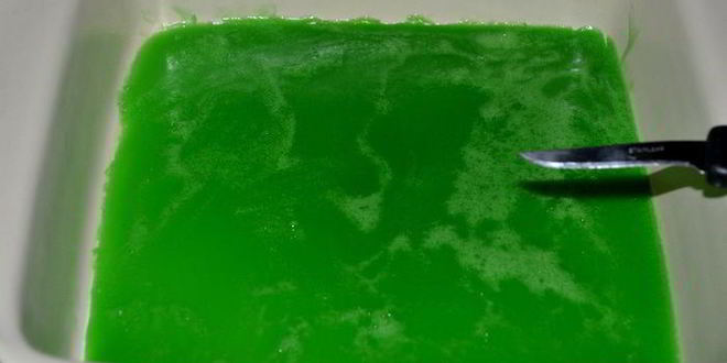 Рецепт фруктового желатинового рулета