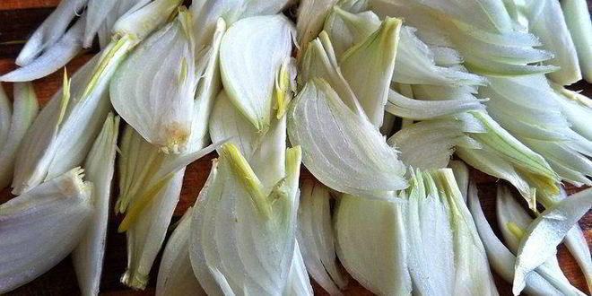 Рецепт рулета из говядины с овощами в мультиварке