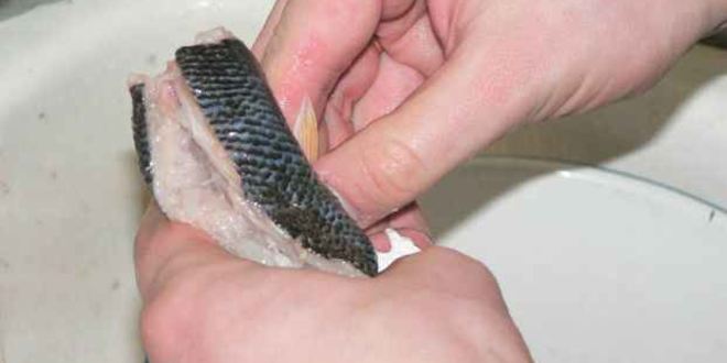 Рецепт рулета из красноперки с начинкой