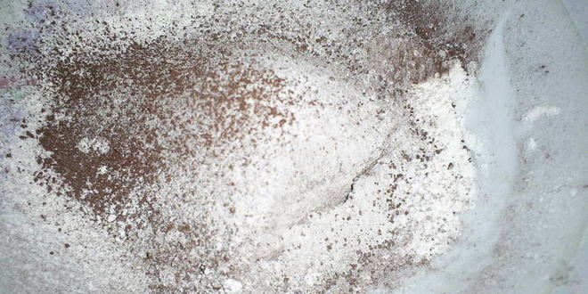 Рецепт шоколадного рулета рождественское полено