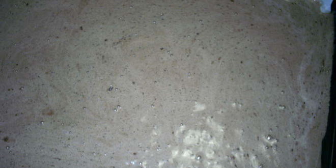 Рецепт шоколадного рулета рождественское полено