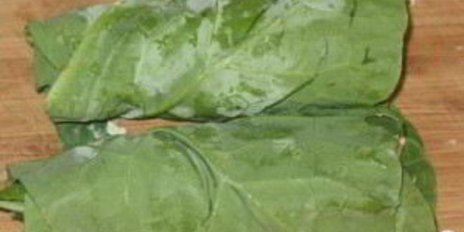 Рецепт вегетарианских рулетиков из листовой капусты