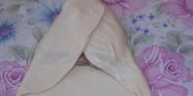 Рецепт самсы с куриной грудкой