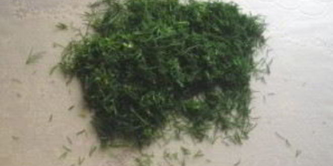 Рецепт шаурмы в лаваше с курицей